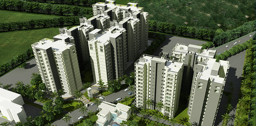 GLS Avenue 51