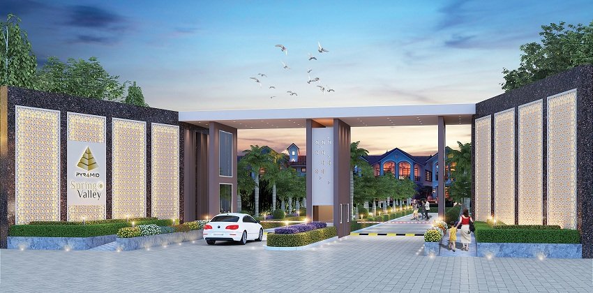 Pyramid Spring Valley Plots